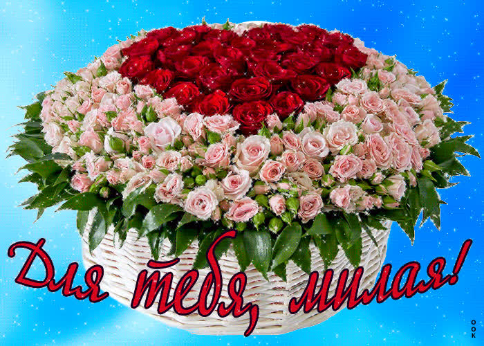 Картинка для тебя милая цветы
