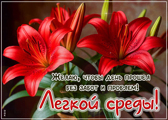 Picture легкой среды! желаю, чтобы день прошел без забот и проблем