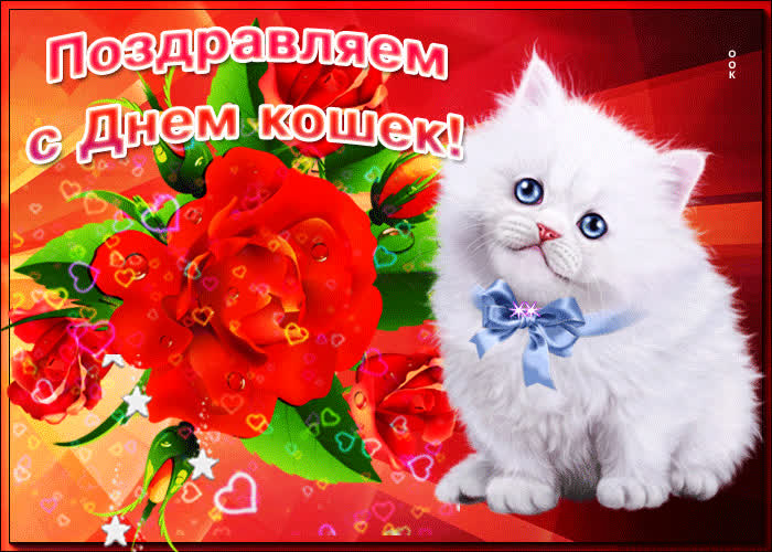 Открытка празднуем всемирный день кошек