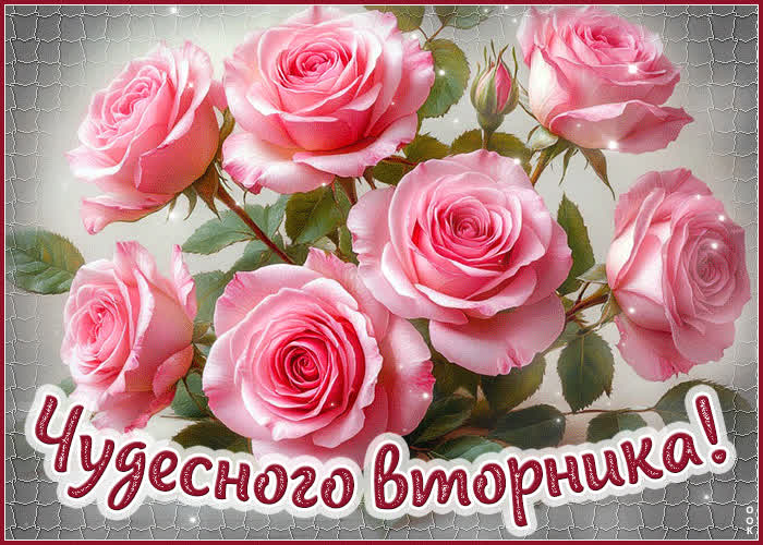 Picture приятная гиф-открытка чудесного вторника