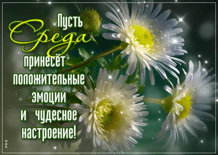 Postcard пусть среда принесет положительные эмоции и чудесное настроение