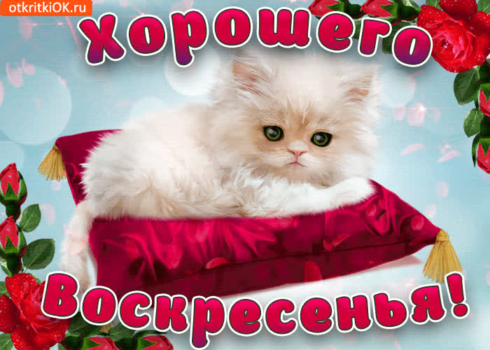 Открытка с воскресеньем, желаю счастья