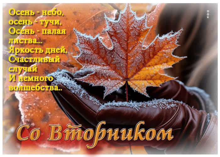 Postcard со вторником! счастливый случай и немного волшебства