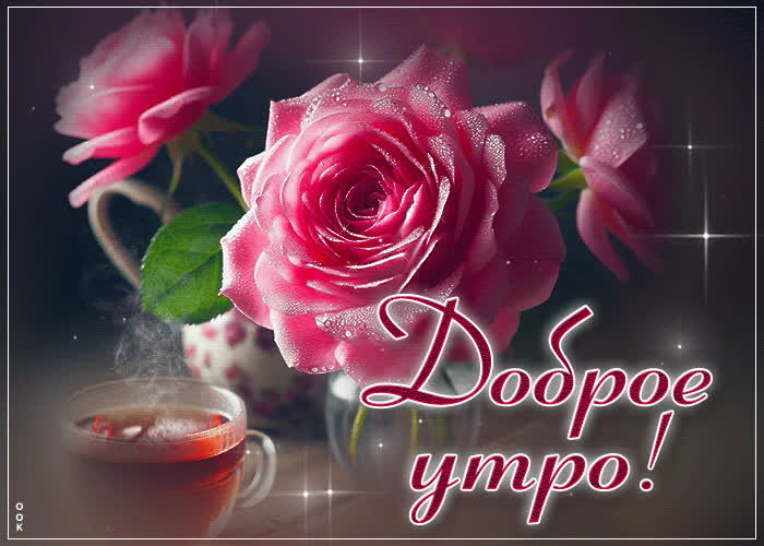 Postcard талантливая гиф-открытка с розами доброе утро