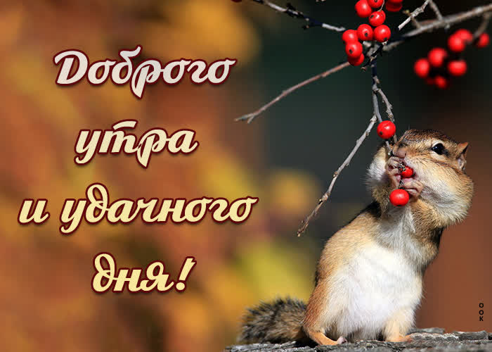 Картинка 1111
