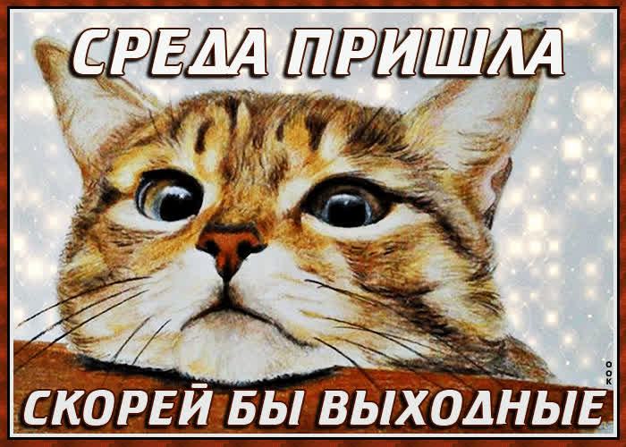 Открытка веселая открытка со средой