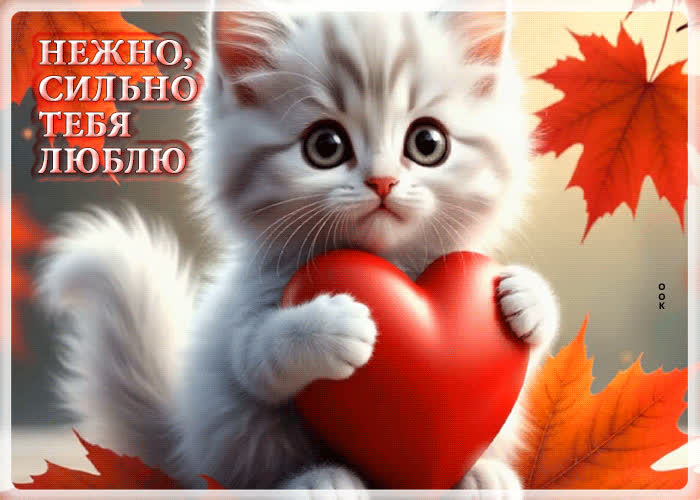 Picture волшебная и гармоничная гифка нежно, сильно тебя люблю